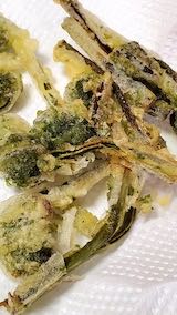 20230415お昼ご飯山菜の天ぷら