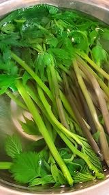 20230415山菜シドケとあいこ(会津ではエラ)