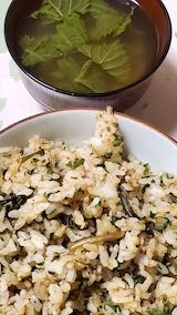 20230415晩ご飯ミツバご飯とあいこ(会津ではエラ)のみそ汁