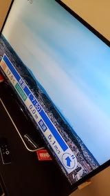 20230601NHKƥӳͻī